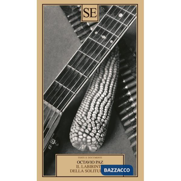 Labirinto della solitudine (Il)