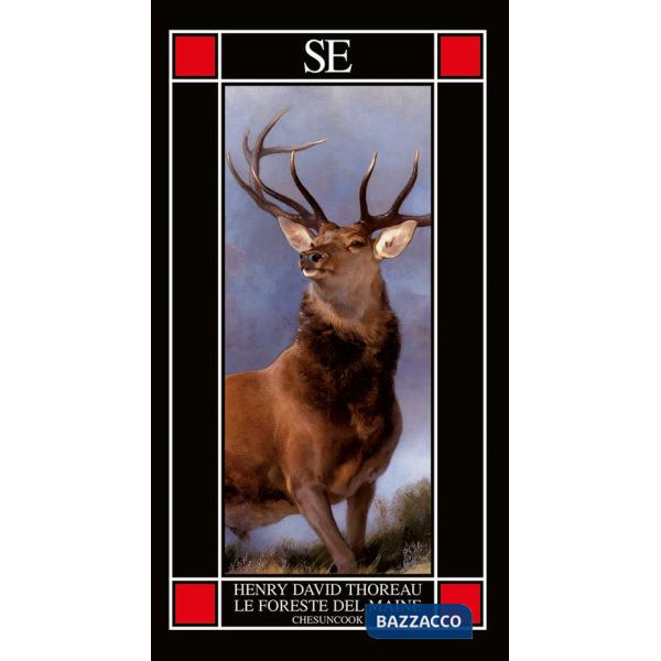 Foreste del Maine. Chesuncook (Le)