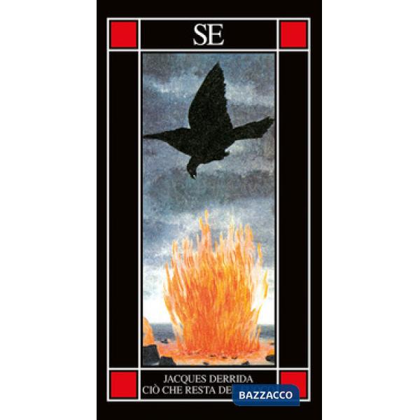 Ciò che resta del fuoco. Testo francese a fronte