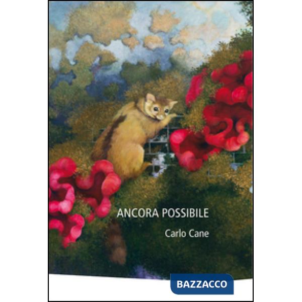 Ancora possibile. Ediz. illustrata
