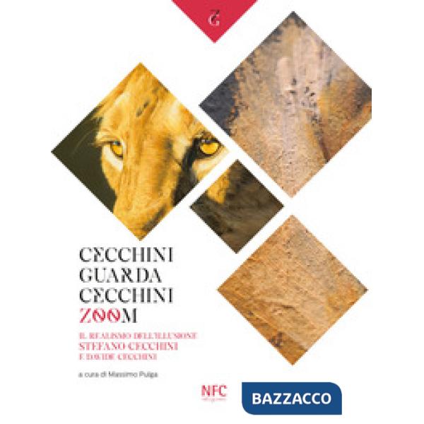 Cecchini guarda Cecchini. Zoom. Il realismo dell'illusione Stefano Cecchini e Davide Cecchini. Catalogo della mostra. Ediz. illu