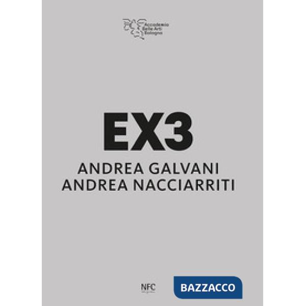 EX3. Andrea Galvani, Andrea Nacciarriti