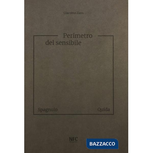 Perimetro del sensibile. Giuseppe Spagnulo Raffaele Quida. Ediz. illustrata