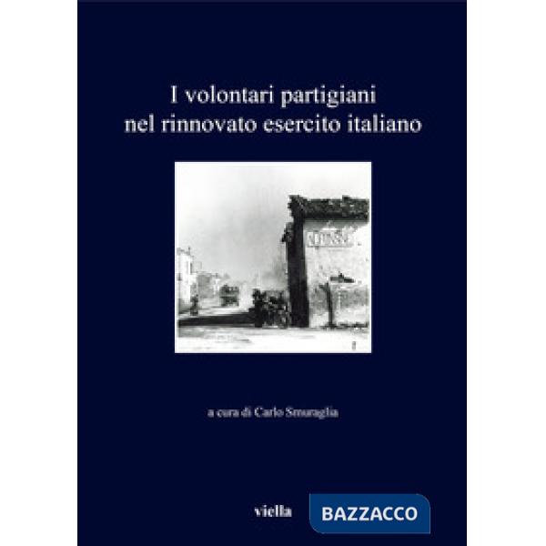 Volontari partigiani nel rinnovato esercito italiano (I)