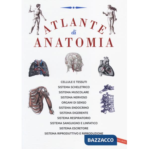 Atlante di anatomia