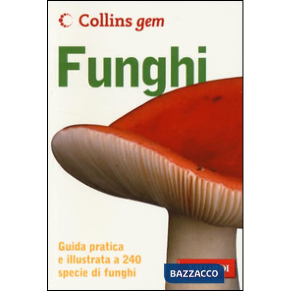 Funghi