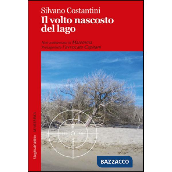 Volto nascosto del lago (Il)