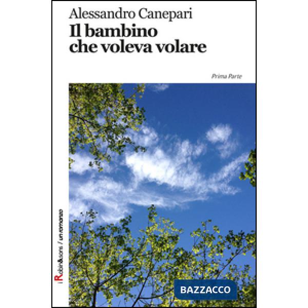 Bambino che voleva volare (Il)