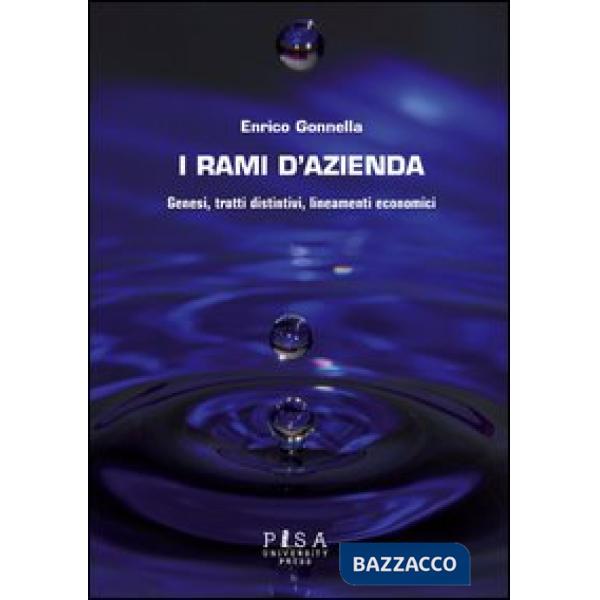 Rami d'azienda. Genesi, tratti distintivi, lineamenti economici (I)