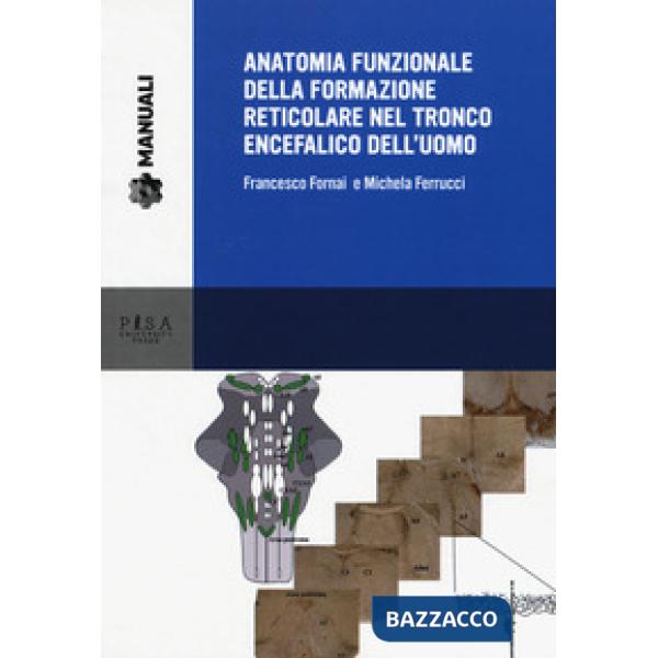 Anatomia funzionale della formazione reticolare nel tronco encefalico dell'uomo