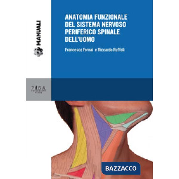 Anatomia funzionale del sistema nervoso periferico spinale dell'uomo