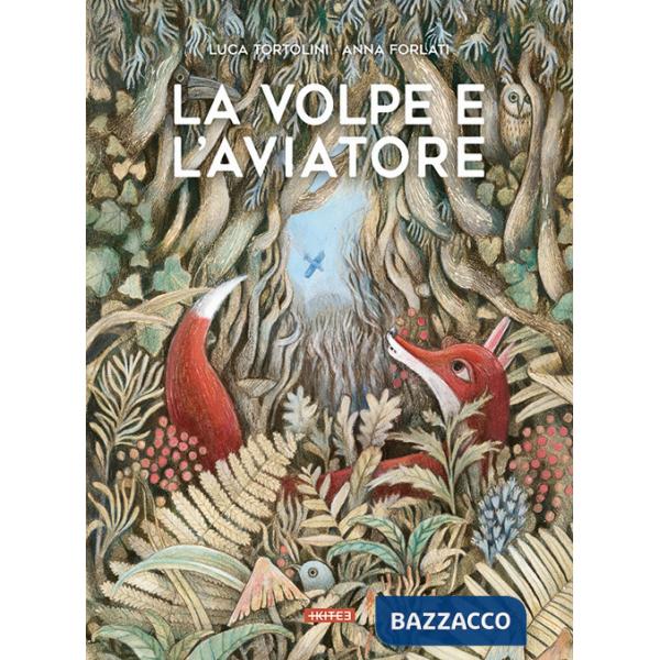 Volpe e l'aviatore. Ediz. illustrata (La)