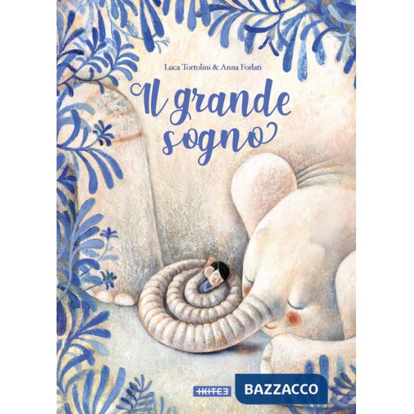 Grande sogno. Ediz. a colori (Il)