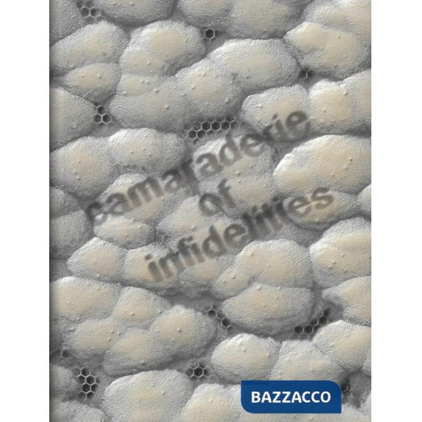 Camaraderie of infidelities. Ediz. illustrata