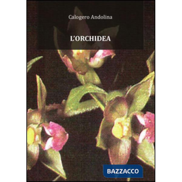Orchidea (L')