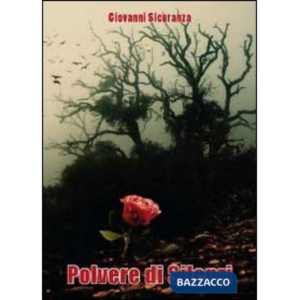 Polvere di silenzi