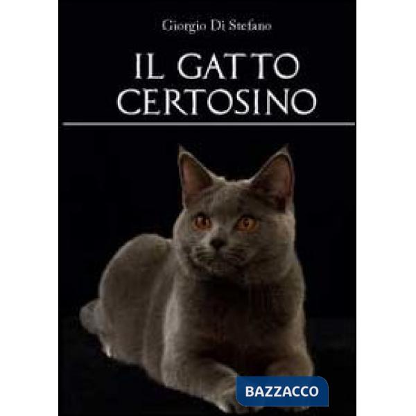 Gatto certosino (Il)