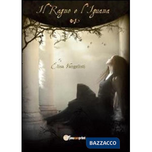 Ragno e l'iguana (Il)
