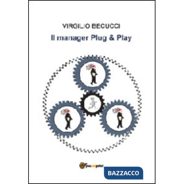Manager plug & play (Il)