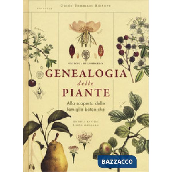 Genealogia delle piante