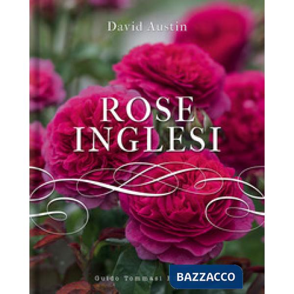 Rose inglesi