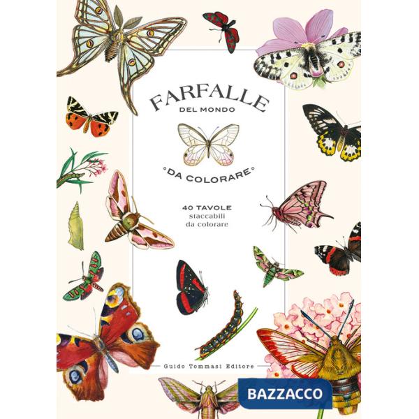 Farfalle del mondo da colorare