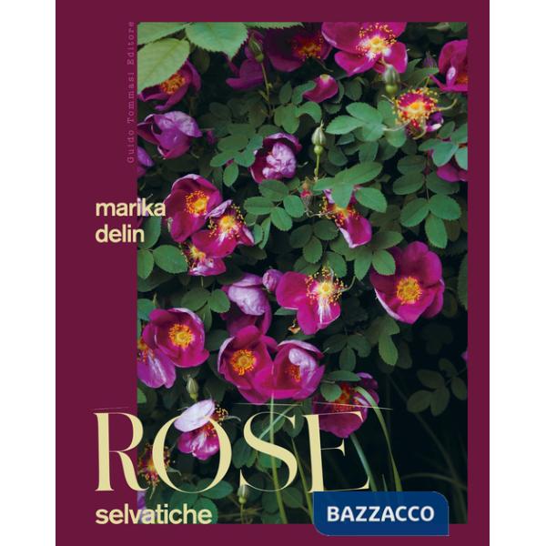 Rose selvatiche