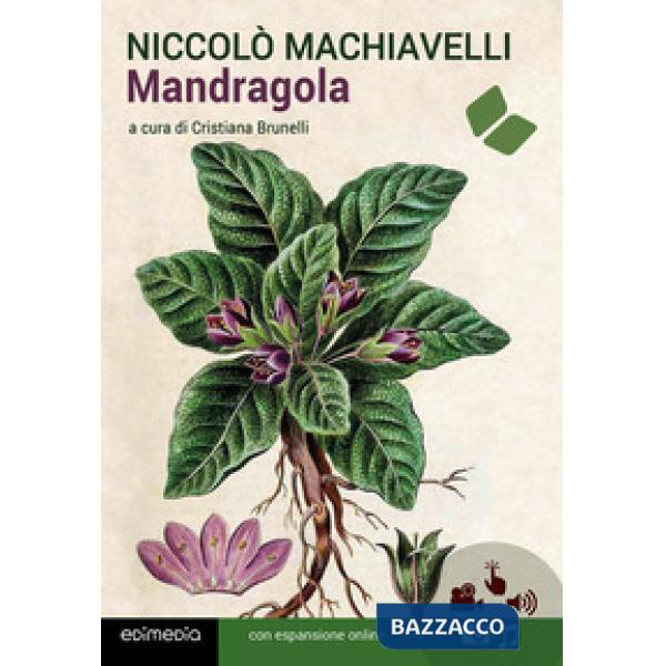 Mandragola