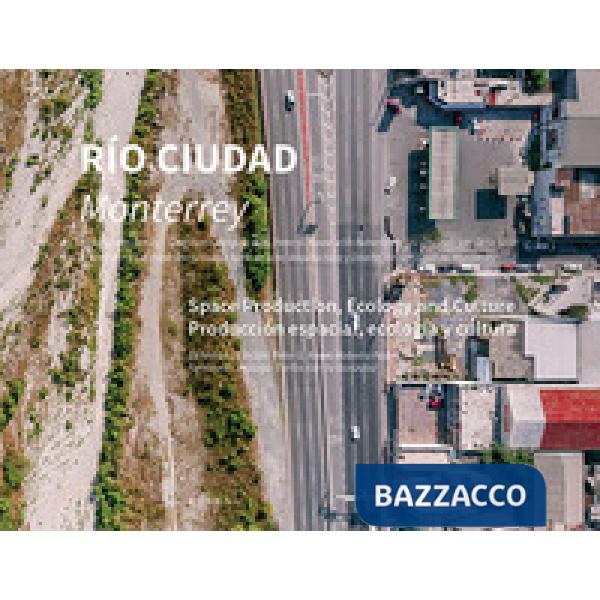 Río ciudad. Monterrey. Space production, ecology and culture. Ediz. spagnola e i