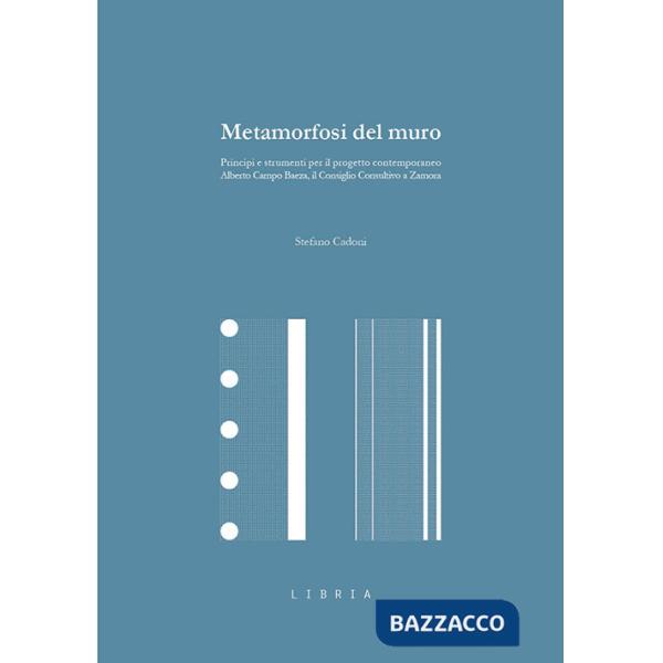 Metamorfosi del muro. Principi e strumenti per il progetto contemporaneo. Alberto Campo Baeza, il Consiglio Consultivo a Zamora