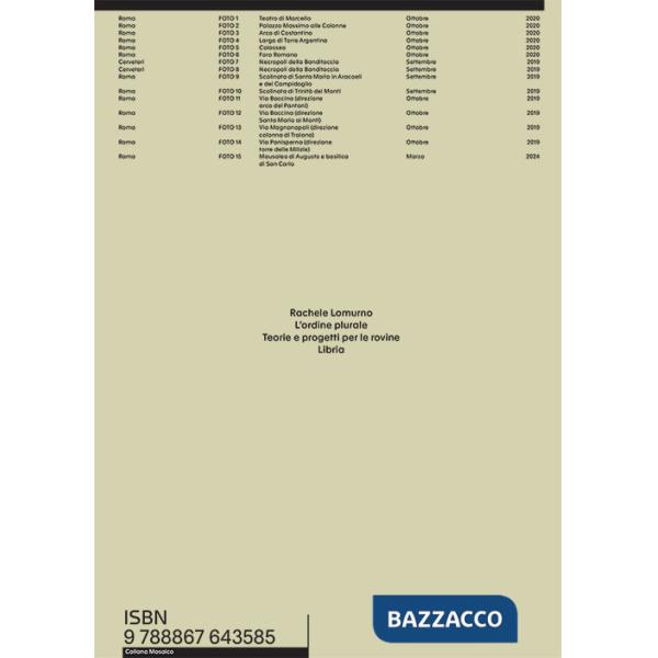 Ordine plurale. Teorie e progetti per le rovine (L')