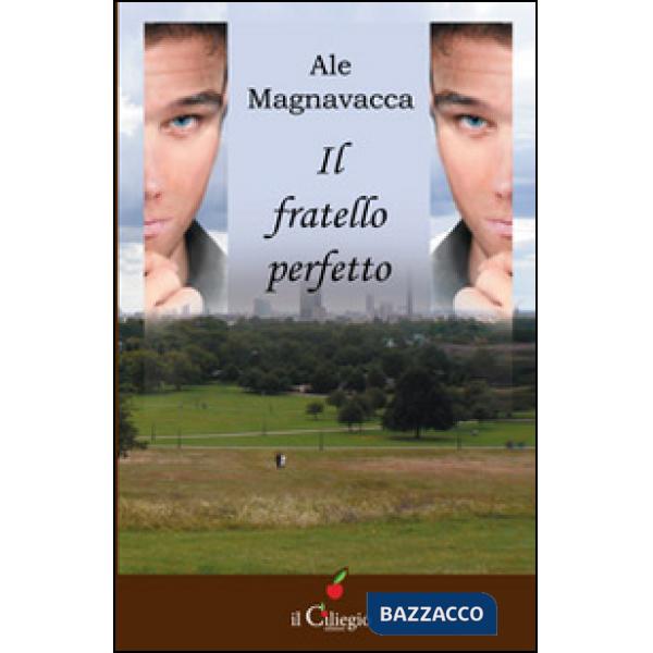 Fratello perfetto (Il)