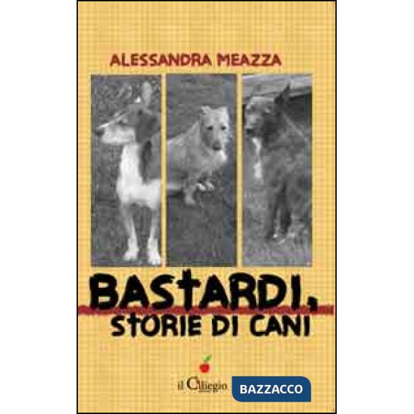 Bastardi, storie di cani