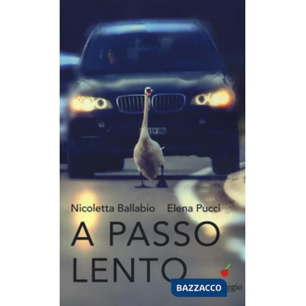 Passo lento. Pensieri, idee, proposte per educare alla lentezza nel tempo della 