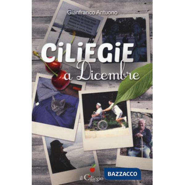 Ciliegie a dicembre