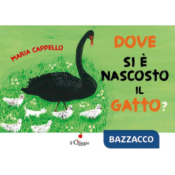Dove si è nascosto il gatto? Ediz. a colori