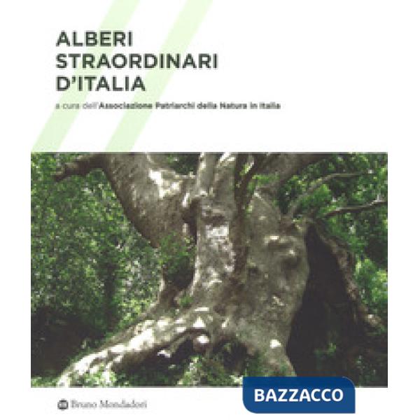 Alberi straordinari d'Italia. Ediz. a colori