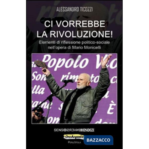 Ci vorrebbe la rivoluzione! Elementi di riflessione politico-sociale nell'opera 