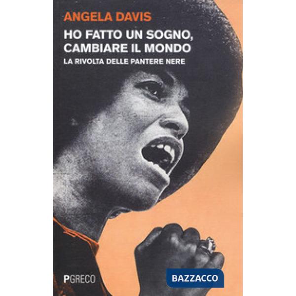 Ho fatto un sogno, cambiare il mondo. La rivolta delle Pantere nere
