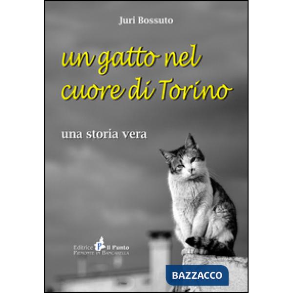 Gatto nel cuore di Torino. Una storia vera (Un)