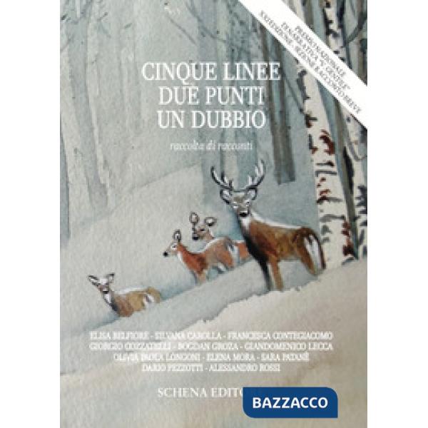 Cinque linee, due punti, un dubbio