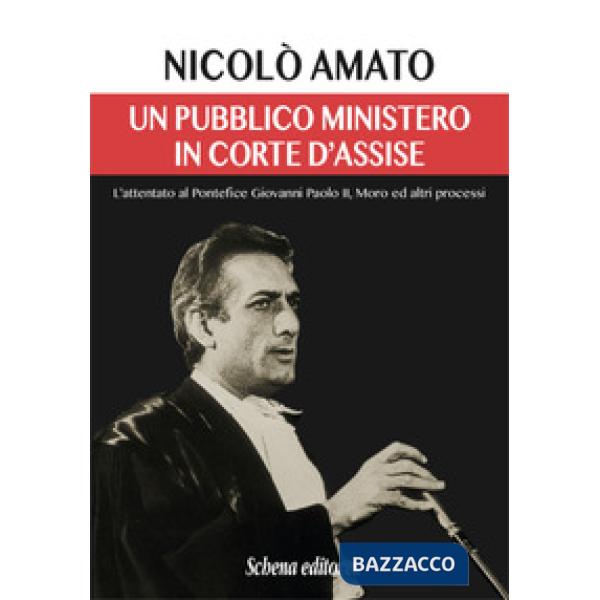 Pubblico ministero in corte d'assise. L'attentato al pontefice Giovanni Paolo II. Moro ed altri processi (Un)