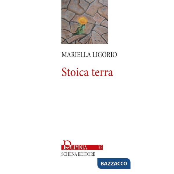 Stoica terra