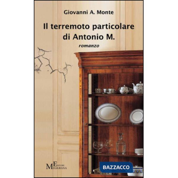 Terremoto particolare di Antonio M. (Il)