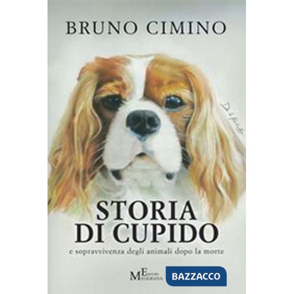 Storia di Cupido e sopravvivenza degli animali dopo la morte