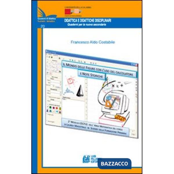 Mondo delle figure con l'uso del calcolatore e note storiche. 2° modulo (SCFU) deell'area matematica del corso di laurea Magistr