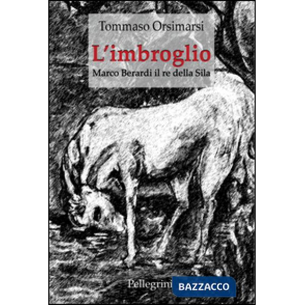 Imbroglio. Marco Berardi il re della Sila (L')