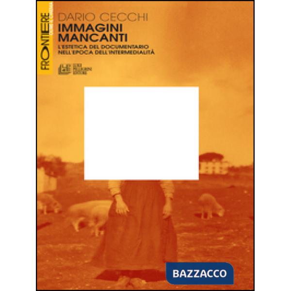 Immagini mancanti. Estetica del documentario nell'epoca dell'intermedialità
