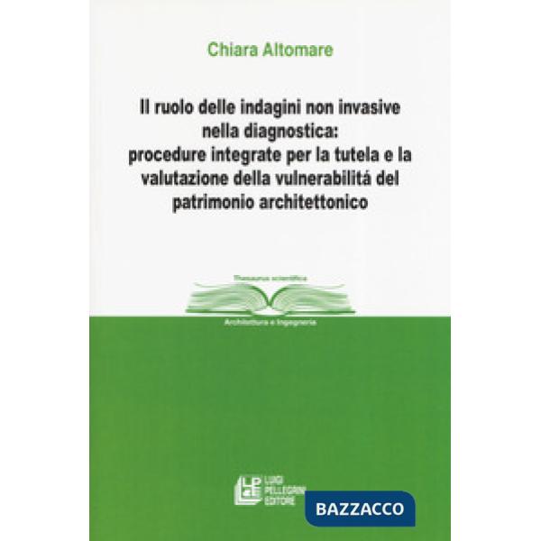 Ruolo delle indagini non invasive nella diagnostica: procedure integrate per la tutela e la valutazione della vulnerabilità del 