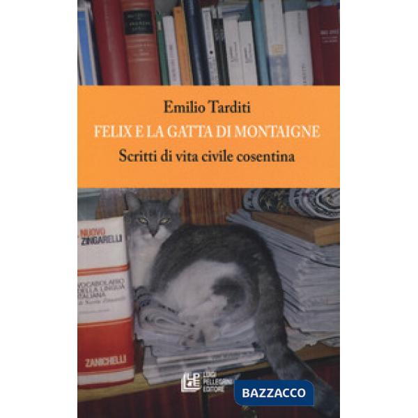 Felix e la gatta di Montaigne. Scritti di vita civile cosentina